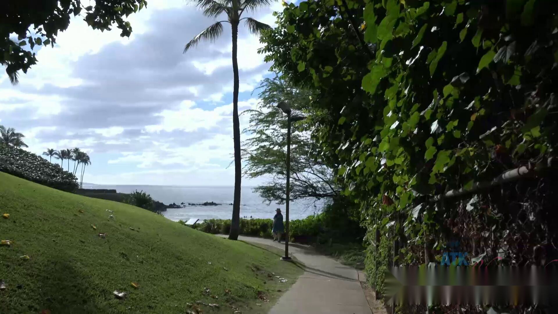 Blog image 3