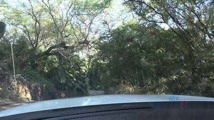 Hawaiian POV Fantasy